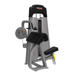 Biceps Curl / Triceps Extension