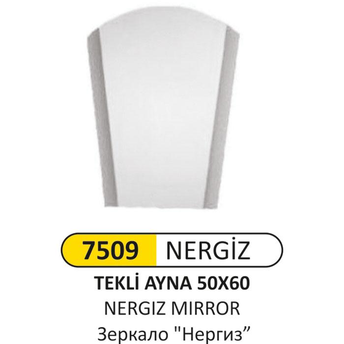 Ayna Nergi̇z 50X60